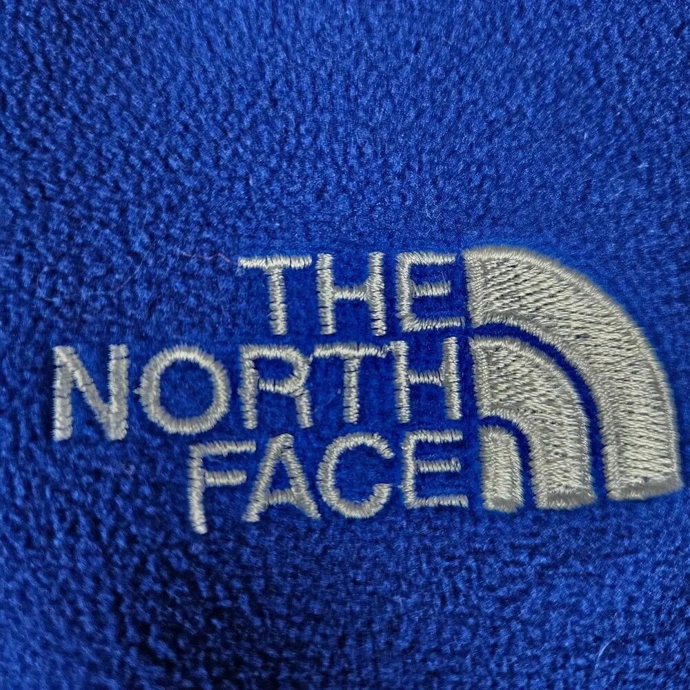 Vintage The North Face Gore Windstopper Fleece Jacket Men's L Zip Blue Gorpcore
